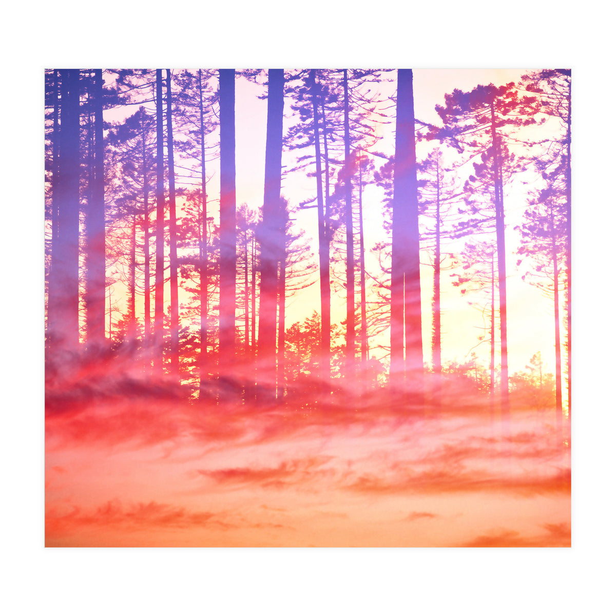 Artistic CVI (Print Only)