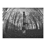 Circle of Growth and decay  (Print Only) thumbnail