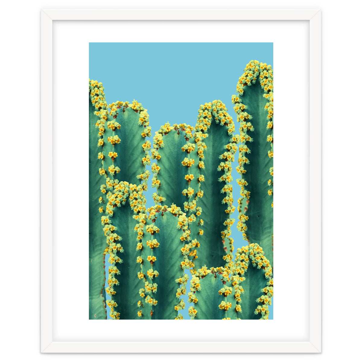 Adorned Cactus V2