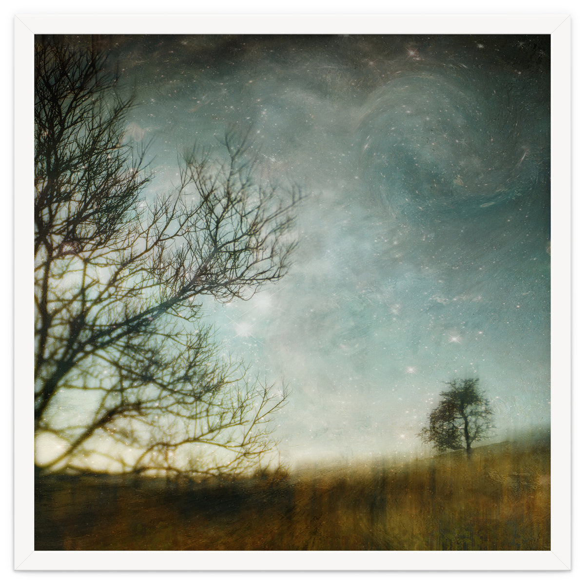 The Tree That Whispered