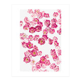Pink Heaven (Print Only) thumbnail