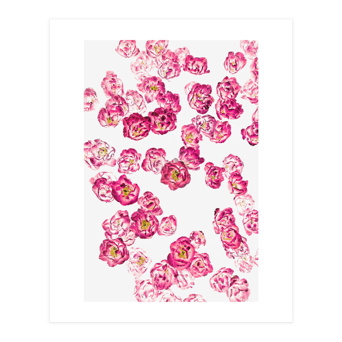 Pink Heaven (Print Only)