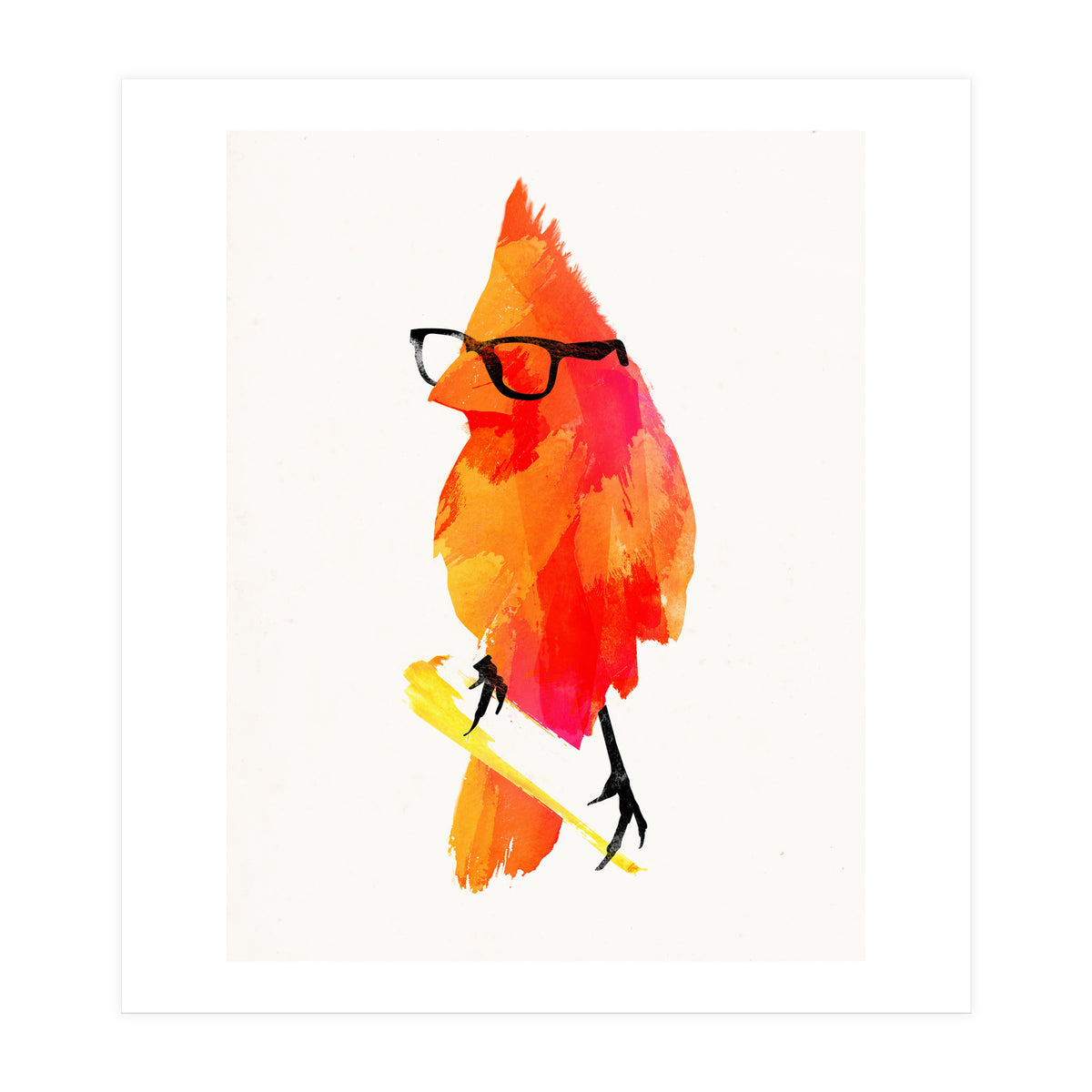Punk Bird (Print Only)