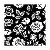 White Rose (Print Only) thumbnail