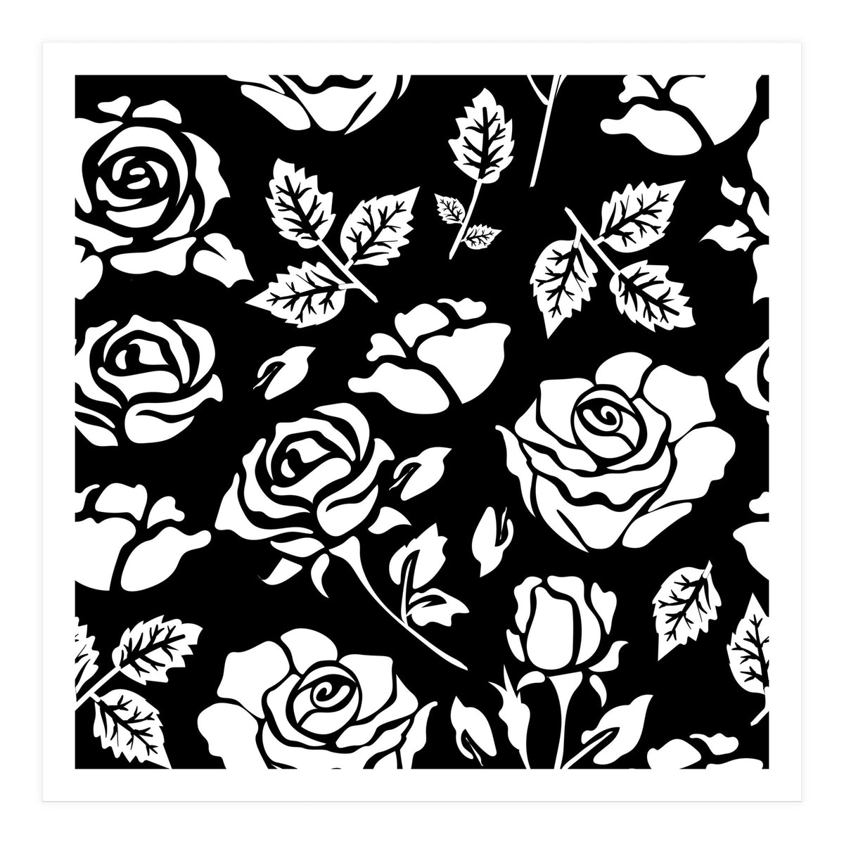 White Rose (Print Only)