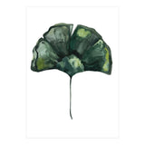 Botanical Illustration Ginko (Print Only) thumbnail
