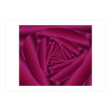 Pink Color Rose Swirl Art (Print Only) thumbnail