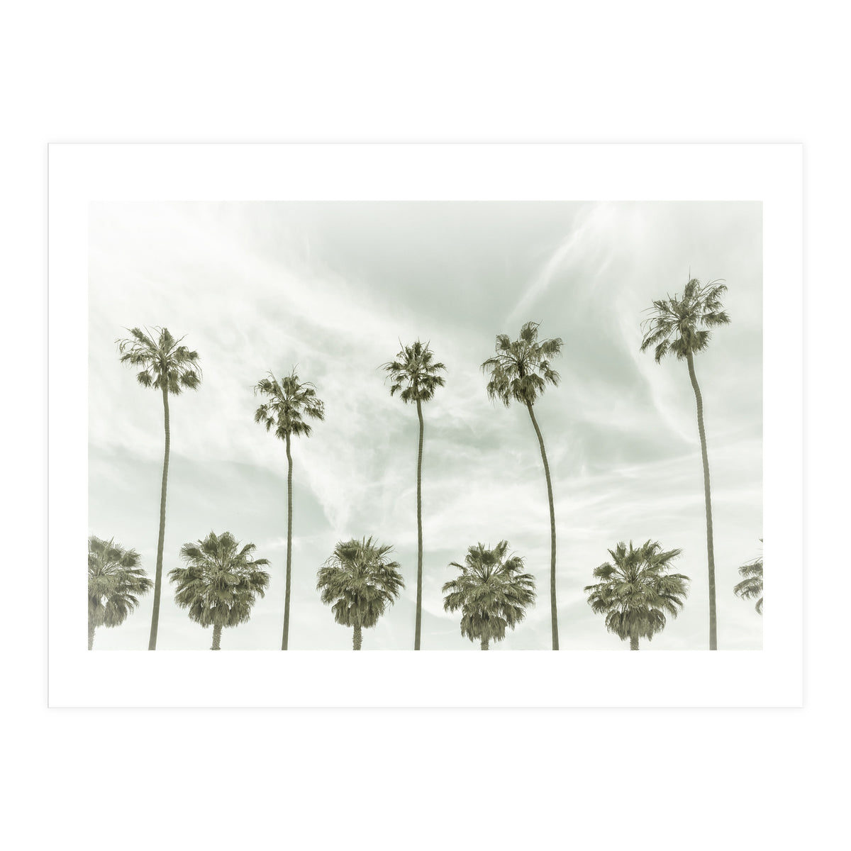 CALIFORNIA Vintage Palm Trees  (Print Only)