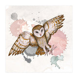 Attacking barn owl (Print Only) thumbnail