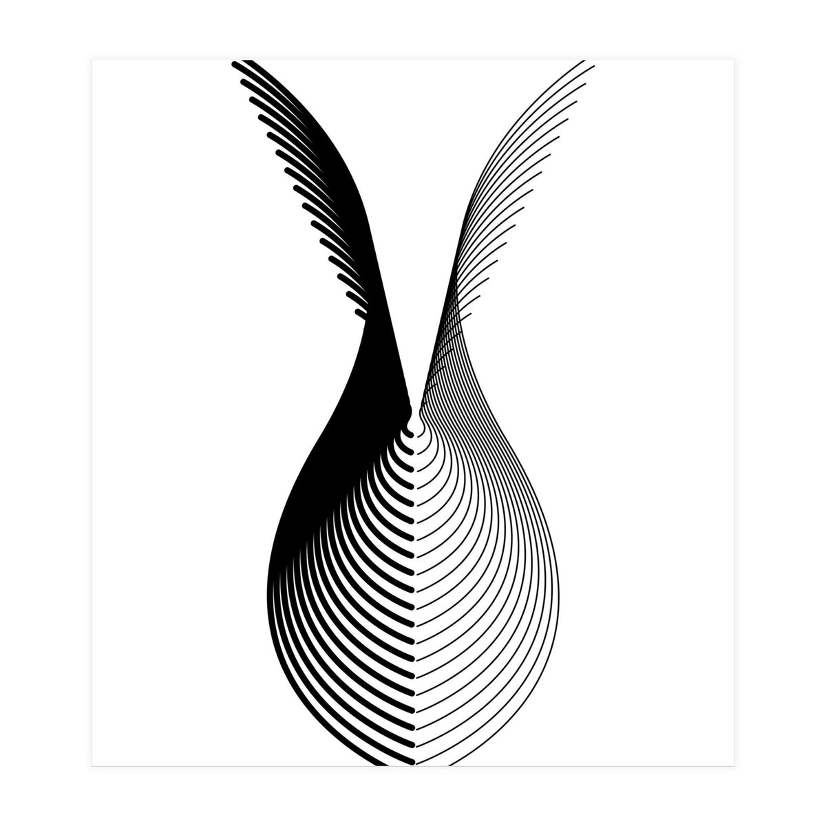 Wings_White (Print Only)