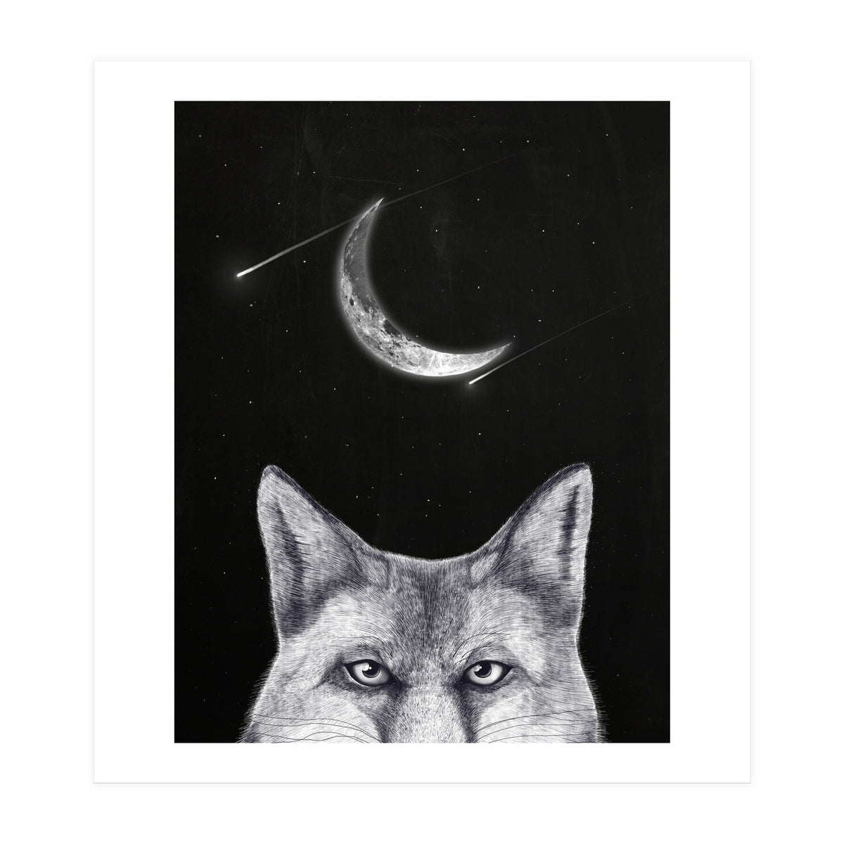 Fox Of The Night (Print Only)