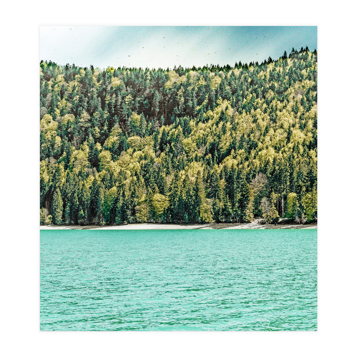 Lake Side (Print Only)