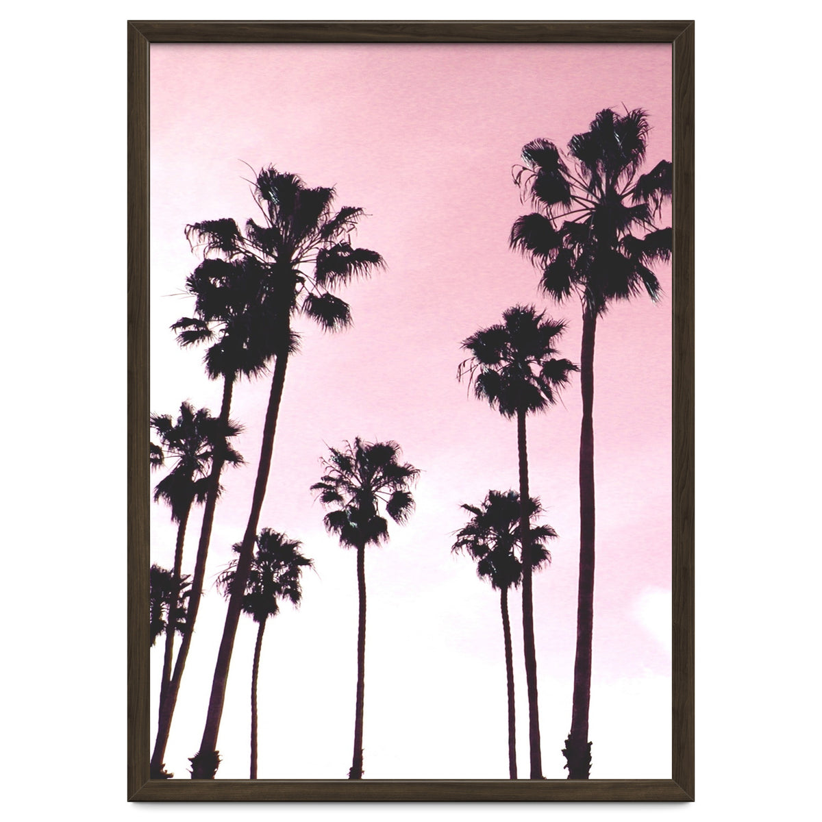 Palms & Sunset
