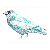 Teal Raven (Print Only) thumbnail