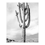 Loner (Print Only) thumbnail