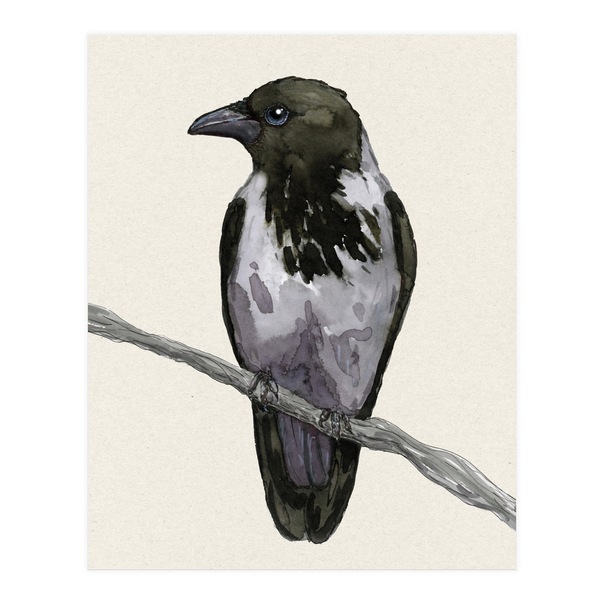 Hooded crow watercolor (Print Only)