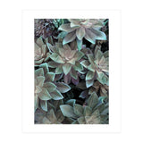 18 (Print Only) thumbnail