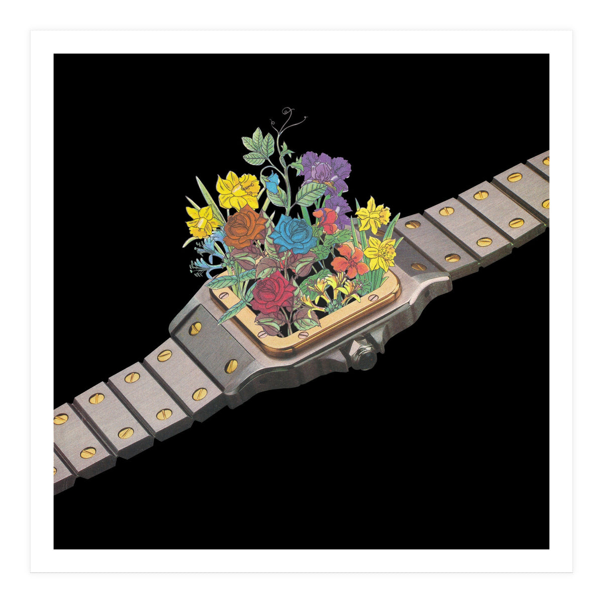 Natural Watch (Print Only)