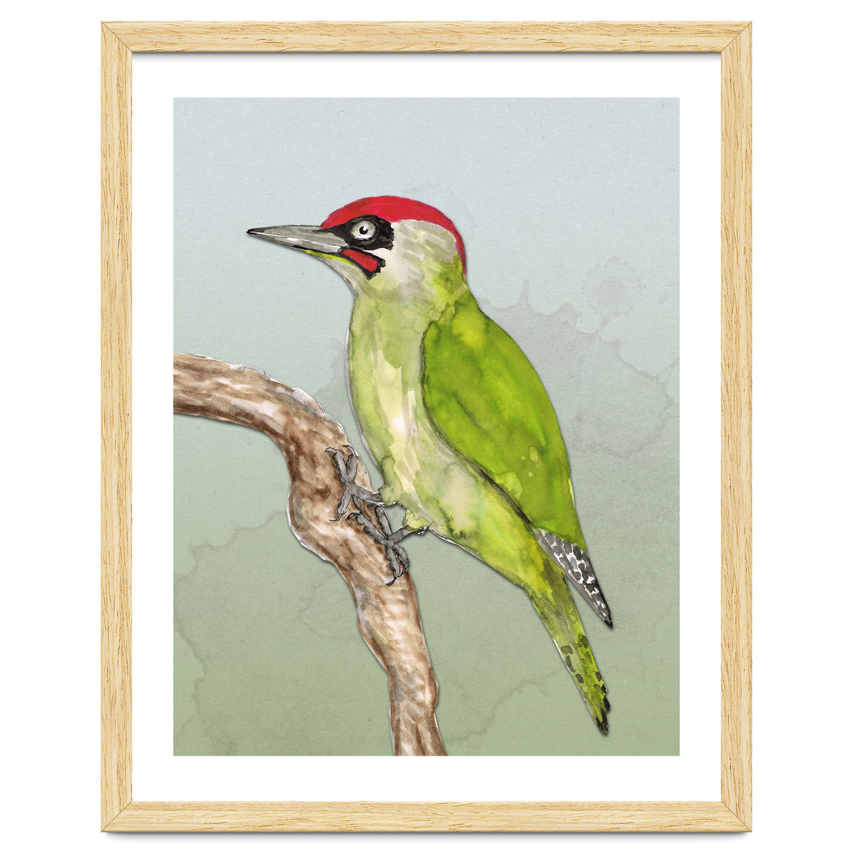 Green woodpecker