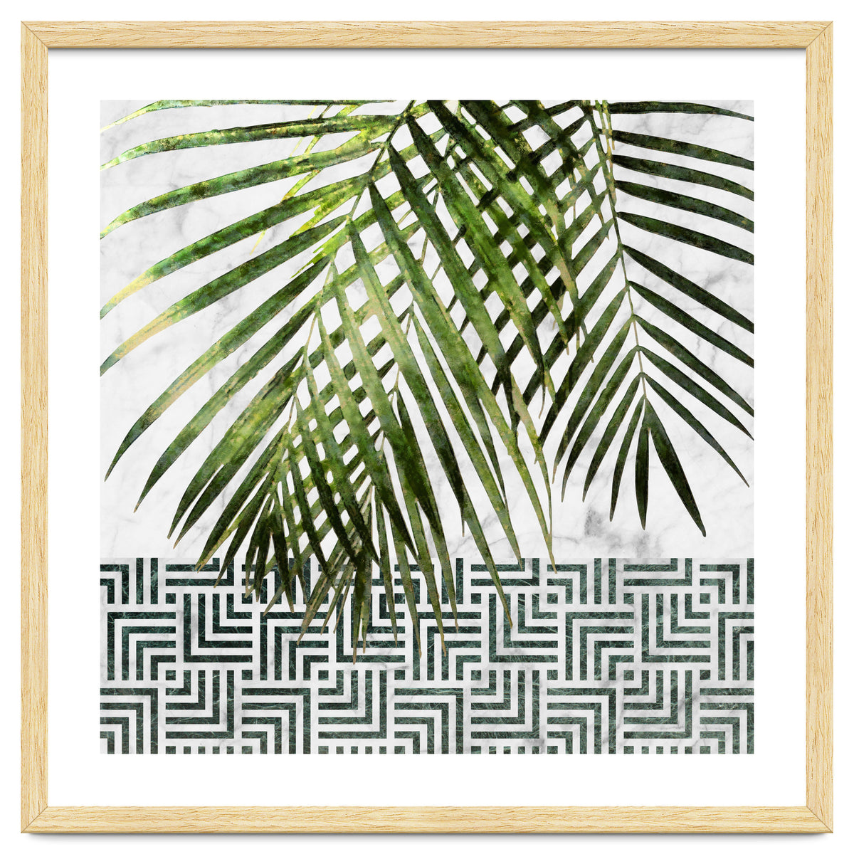 Palm Leaves On White Marble And Tiles