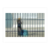 Behind a fence (Print Only) thumbnail