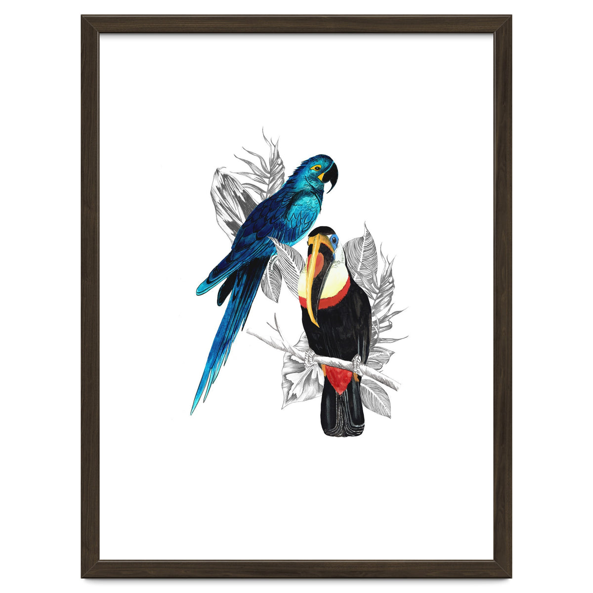 The Toucan and the Parrot