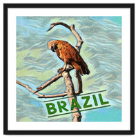 Brazilian resting Eagle