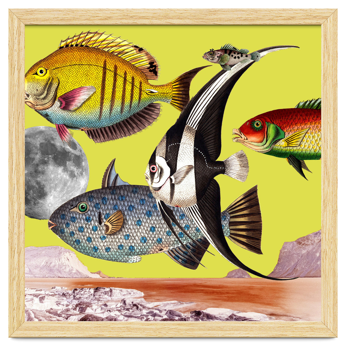 Plenty Of Fish In The Sea Yellow