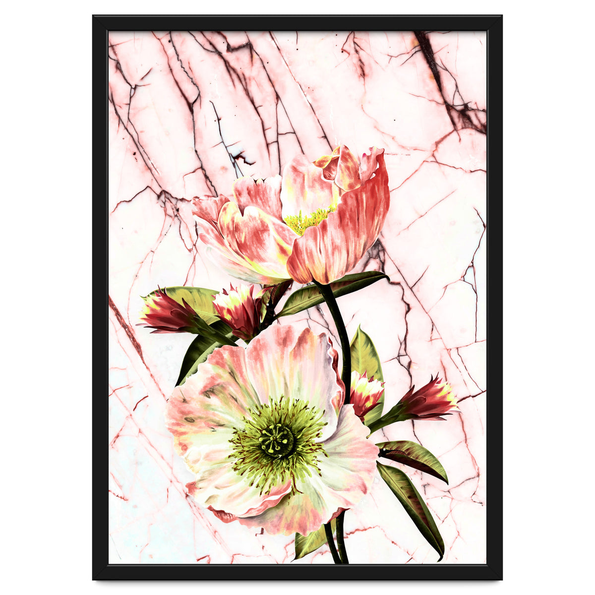 Flowering on pink marble