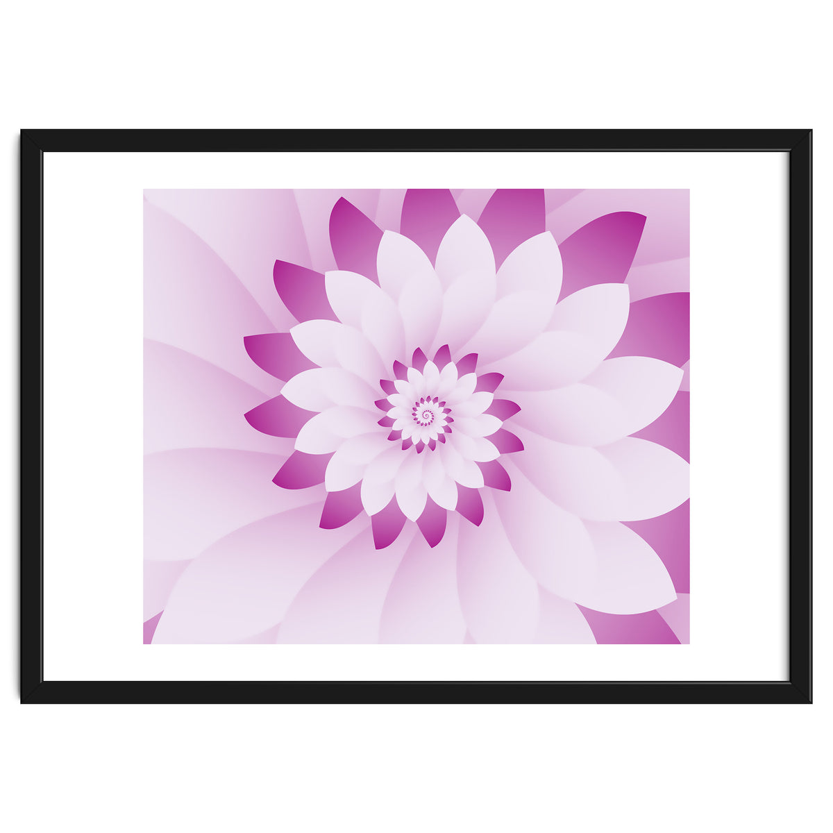 Abstract Pink & White Floral Design