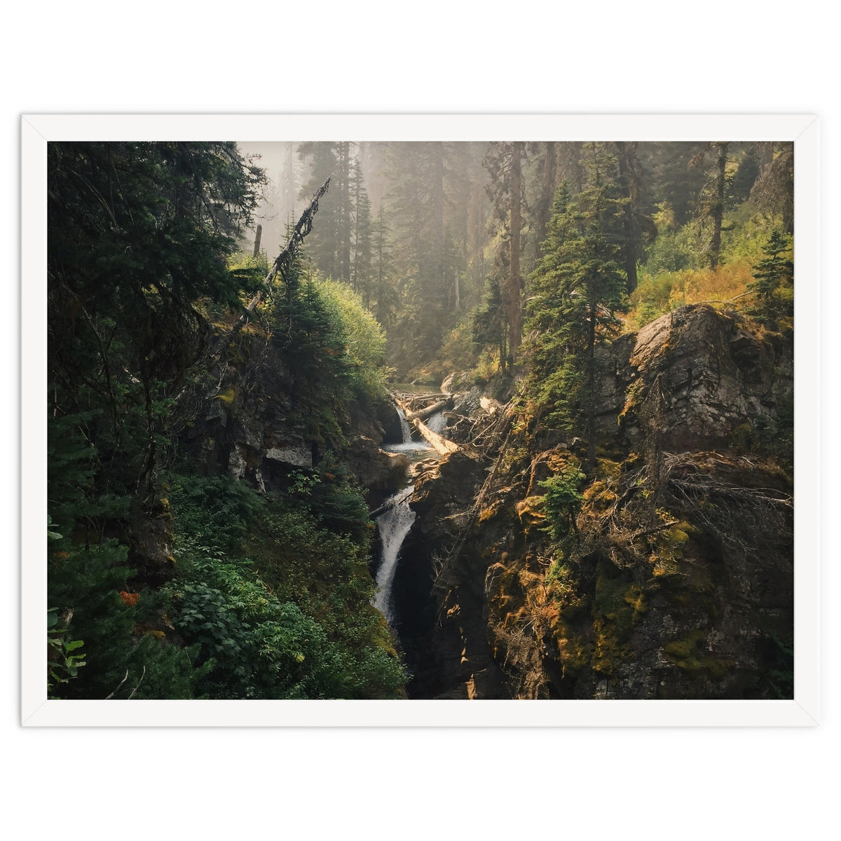 Glacier National Park I