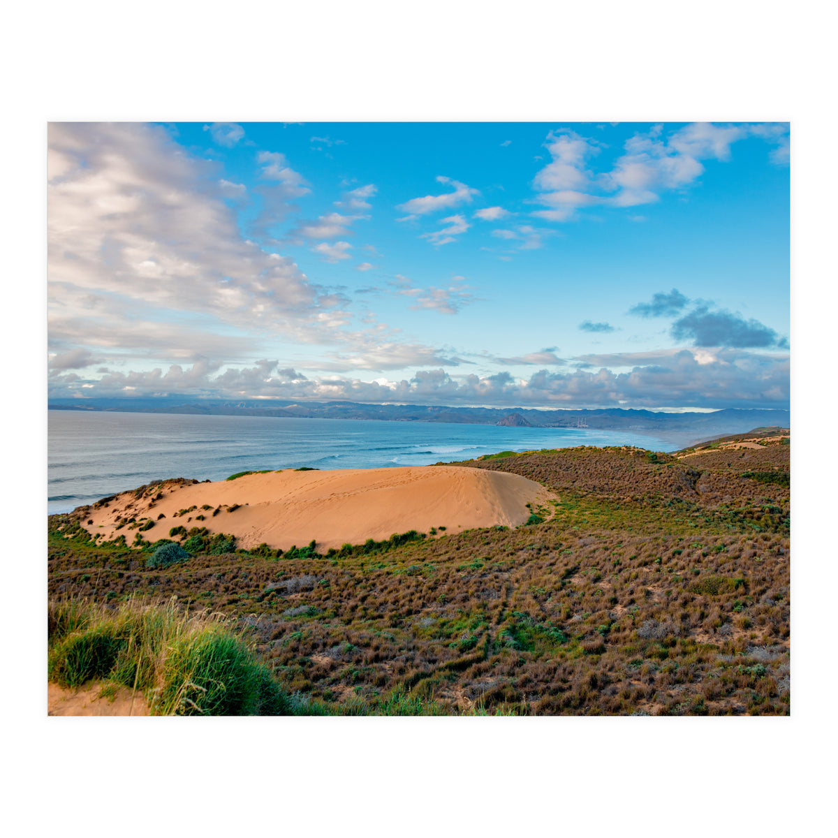 Coastal Sand Dune (Print Only)