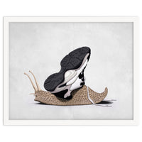 The Sneaker Wordless