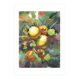 Apples on a branch (Print Only) thumbnail