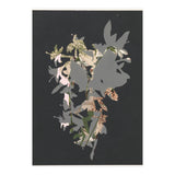 The First Plant · Black (Print Only) thumbnail