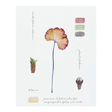 Botanical Notes (Print Only) thumbnail