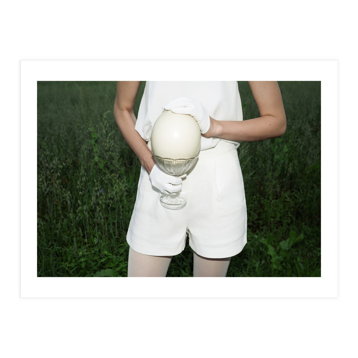 Dinosaur Inside (Print Only)