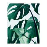 Monstera (Print Only) thumbnail
