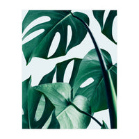 Monstera (Print Only)