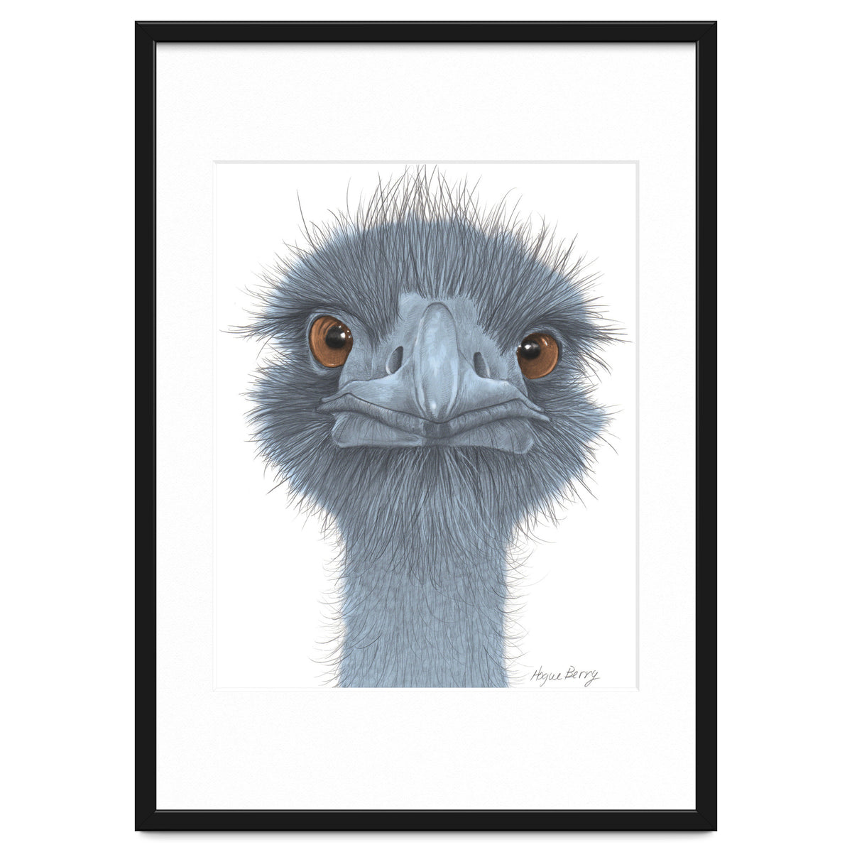 The Blue Emu