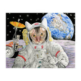 Nasacatadjustcolor (Print Only) thumbnail