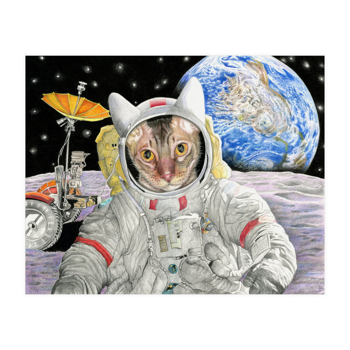 Nasacatadjustcolor (Print Only)