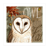 Barn Owl (Print Only) thumbnail