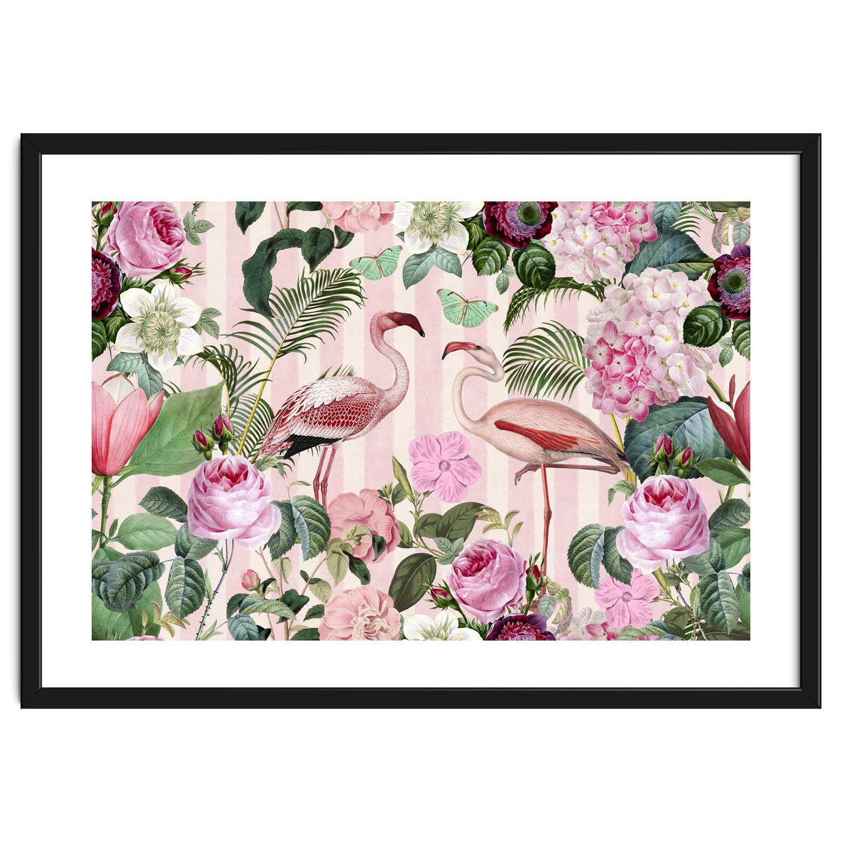 Flamingo Rendevous