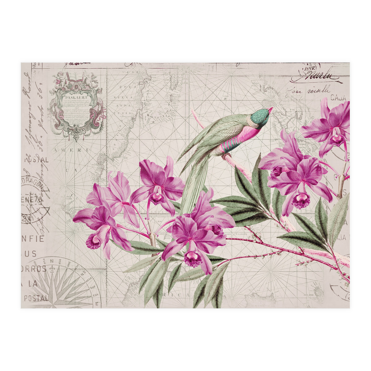 The Birds Voyage Of Discovery (Print Only)