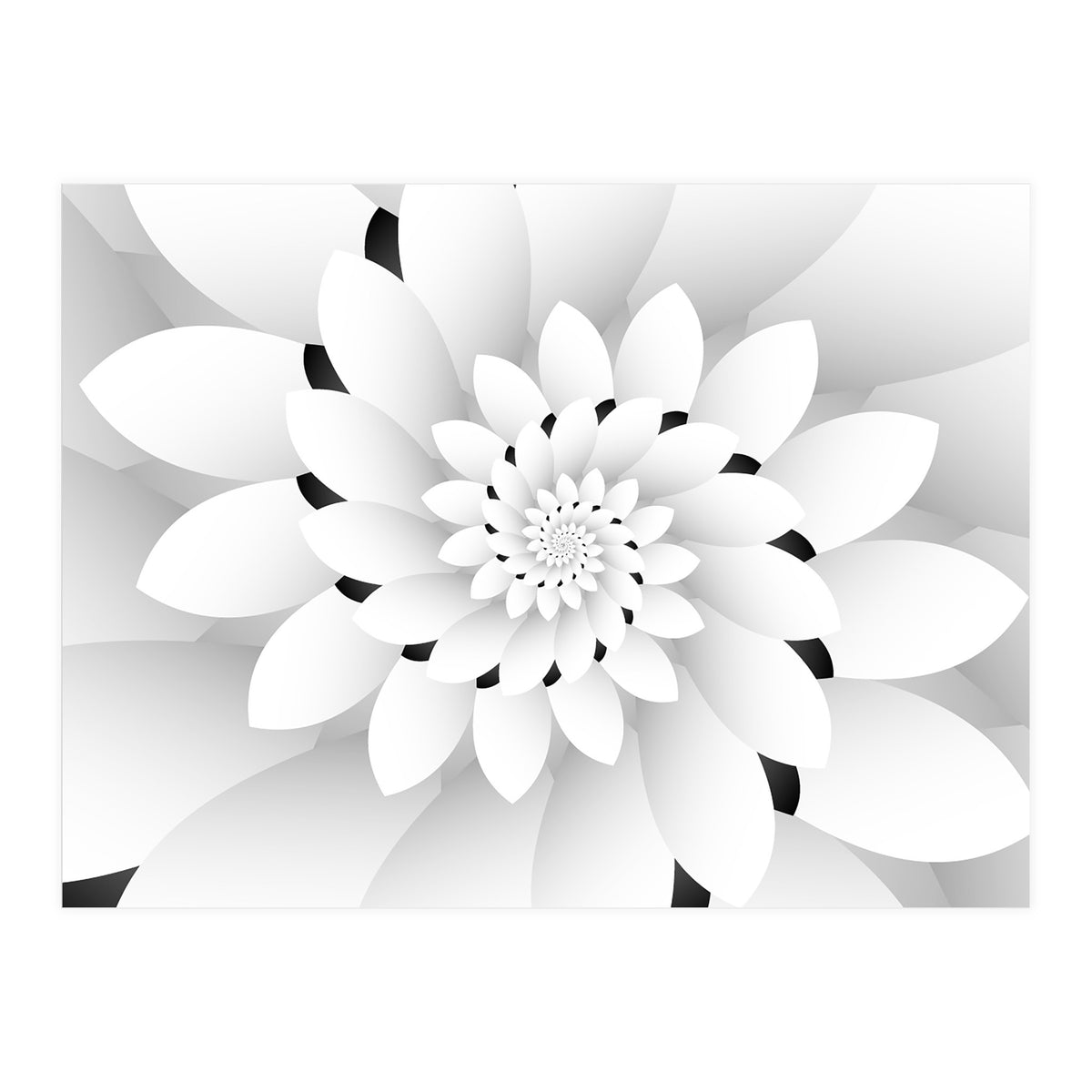 Monochrome Floral Design  (Print Only)