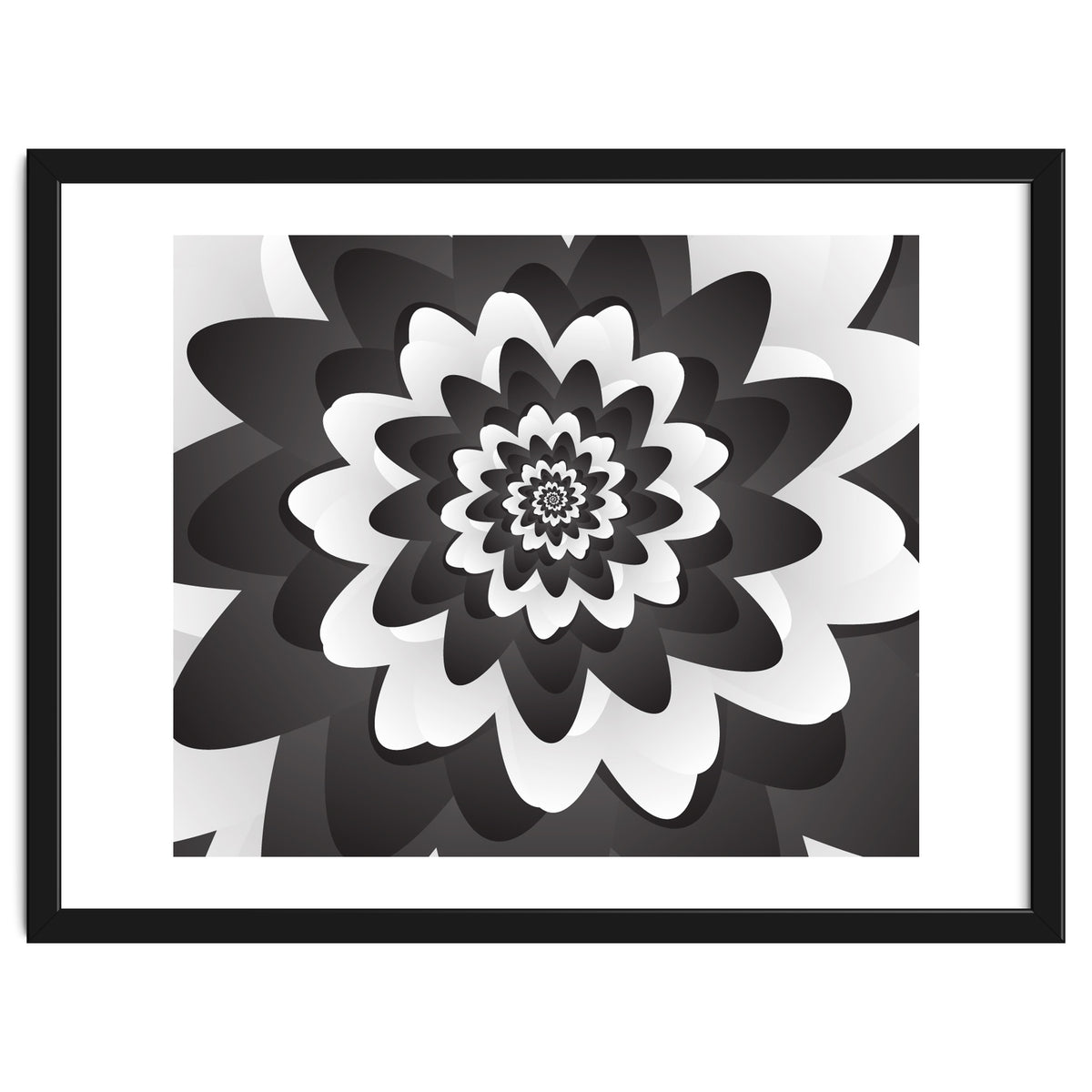 Mono Chrome Flower Spiral Pattern