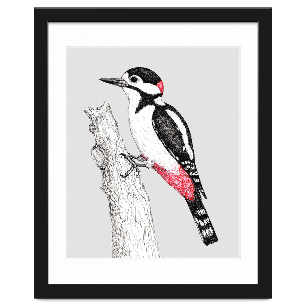 Great spotted woodpecker