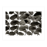 Branches and Leaves I (Print Only) thumbnail