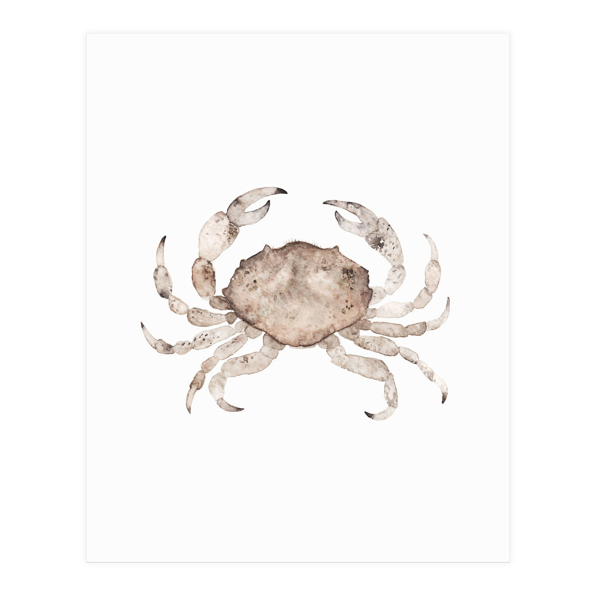 Crab (Print Only)